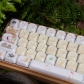 Freehand Brushwork 104+16 PBT Keycaps Set Backlit / Opaque Cherry / QX3 Profile for MX Switches Keyboard